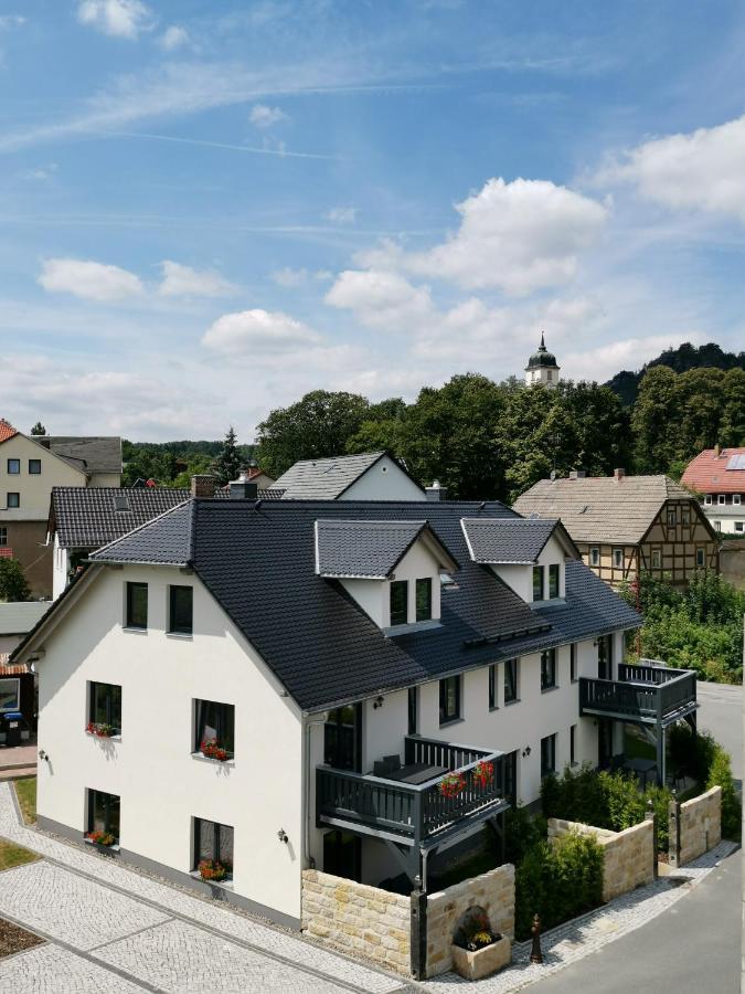 Apartment Vetter "Haentzschelstiege" Kurort Gohrisch Dış mekan fotoğraf